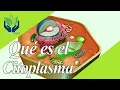 Cytoplasm explanation and examples