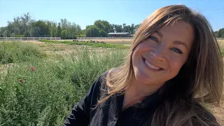 Harvesting Potatoes & Organizing the Pole Barn with Aaron! 🥔🌿💪