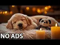 12 Hours Dog Music Dog Relaxation Music Dog Healing Sounds For Gentle Comfort And Peaceful Calm