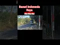Download Lagu basuri indonesia raya #shorts #bus #basuri