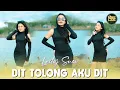 Download Lagu Laily Suci - Dit Tolong Aku Dit (DJ Remix)