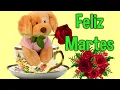 Saludos de Buenos Dias Feliz Martes Abrelo Hermoso Mensaje Para Ti Dios te bendiga