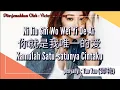 Download Lagu Ni Jiu Shi Wo Wei Yi De Ai 你就是我唯一的爱 - 谭艳 Tan Yan(Lirik Dan Terjemahan)