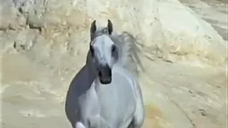 يا زمان حنون دندنها