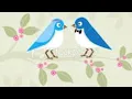 "Bluebird" Sara Bareilles Video Collage