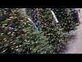 Christmas Trees At Lowe s 2021