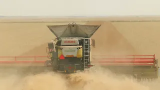 This Is What a Massive Farming Operation Looks Like | MAXUTIL