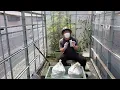 [Home gardening] Strawberry cultivation July 1. Making seedlings Part 2: Soil preparation and sor...