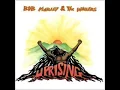 Bob Marley & the Wailers - Real Situation