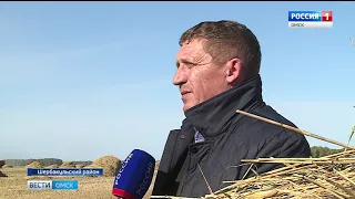 В Омской области продолжается уборочная кампания