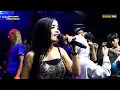 Download Lagu 35 SANDRA MAHESA - WEDI DOSA - ORGAN DANGDUT FARIZ MUSIK LIVE SUMURKONDANG