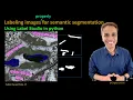 Labeling images for semantic segmentation using Label Studio