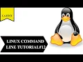 Linux Command Line Tutorial 2021 Pipes sort Grep Cron vi editor sed introduction