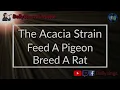 The Acacia Strain - Feed A Pigeon Breed A Rat (Karaoke)
