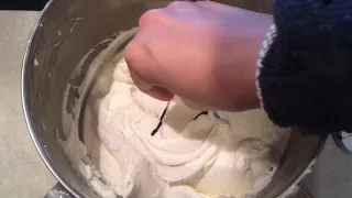 Under the Sea Cake