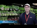 What Do You Like About Working at Food City