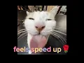 Download Lagu feels (speed up) 1 h🌹