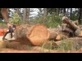Stihl 660 Magnum Dual Port