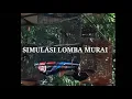 Download Lagu SIMULASI LOMBA MURAI BATU