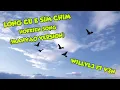 Download Lagu Long Cu E Sim Chim - Hokkien Song (Manyao Remix)