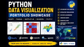 Python Data Visualization Portfolio Matplotlib Seaborn Plotly Animated Maps