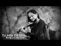 Download Lagu Tu Mile Dil Khile | Telusa Manasa | Akkineni Nagarjuna | Roopa Revathi  |  Sumesh Anand