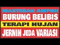 Download Lagu SUARA BURUNG BELIBIS PIKAT MP3 MASTERAN JERNIH JEDA TERAPI HUJAN 1 JAM mp3