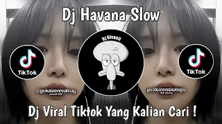 dj i loved him when i lift him he got me feelin like dj havana slow viral tiktok terbaru 2025 