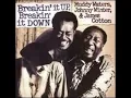 Muddy Waters, Johnny Winter & James Cotton - Dealin With The Devil