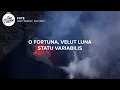 Alan Walker & Ava Max - FATE (Lyrics)