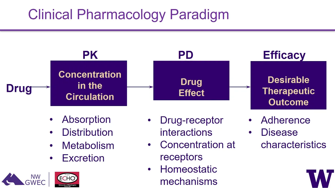 The ABCs of PK/PD in Older Adults
