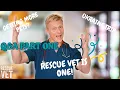 Rescue Vet turns 1 Getting more pets how it really was going to Ukraine Q A Part One