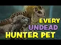 Every Undead Hunter Pet in WoW How to Find Tame Them All