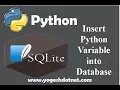 Inserting variables to database table - SQLite3 with Python 3 Lecture 16 Hindi