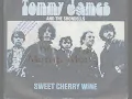 Tommy James & the Shondells - Mony Mony (Lyrics)