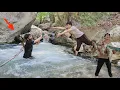 Download Lagu Saving Sister Hussein: An Epic from the Heart of the Mountains by a Nomadic Family