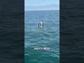 Most Convincing Mermaid Footage Ever Caught On Camera