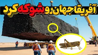 آفریقا میلیاردها ملخ را در بیابان کاشت زندگی میلیون ها نفر عوض شد 