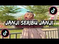Download Lagu Dj Janji Janji Seribu Janji - Slowed + Reverb🎧