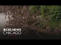 More downed trees power outages a worry with storms coming Tuesday