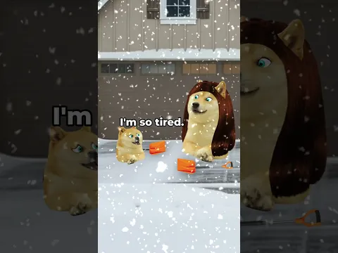 lil doge shovels snow