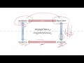 Introduction to Algorithm Analysis - Design and Analysis of Algorithms