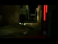 CSI Las Vegas Warrick Brown death