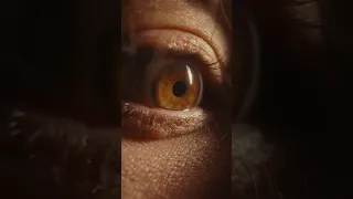 My Weird Obsession Filmmaker Bts Macro Cinematography 