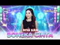 Boneka Cinta - Diva Hani - Sofiani Music  - Official Lyric Video