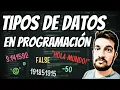 Data Types in Programming Integer real string and more