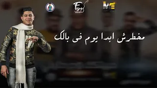 اعذريني يوم زفافك نور التوت المتألق  مهرجان انا حبيتك وجرحتيني دندنها