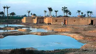 محلاها عيشة الفلاح Mohamed Abdelwahab 