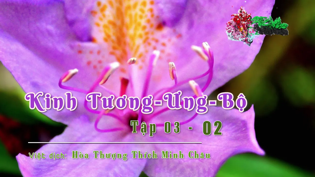 Tập III - 2_6 - HT Thích Minh Châu 