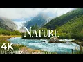 Download Lagu Nature Relaxation Film 4K - Peaceful Relaxing Music - Nature 4k Video UltraHD